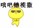 公司展會